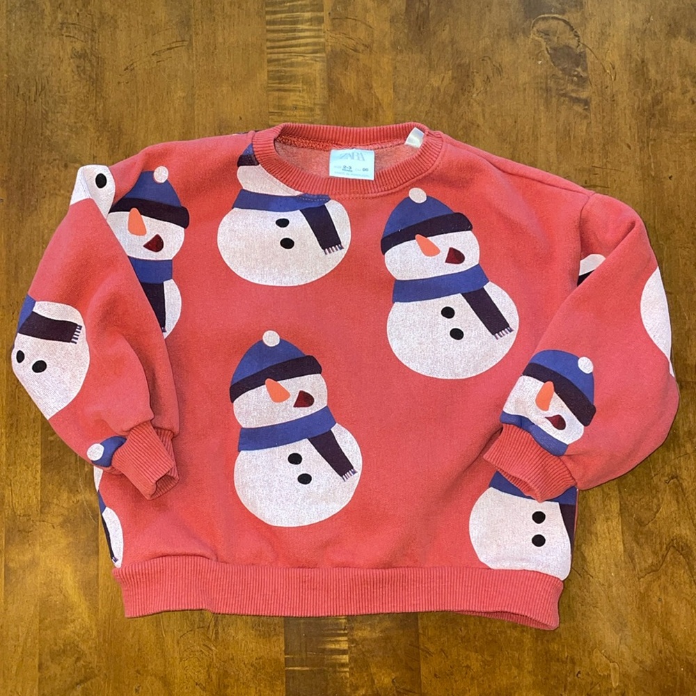 Zara Sweatshirt